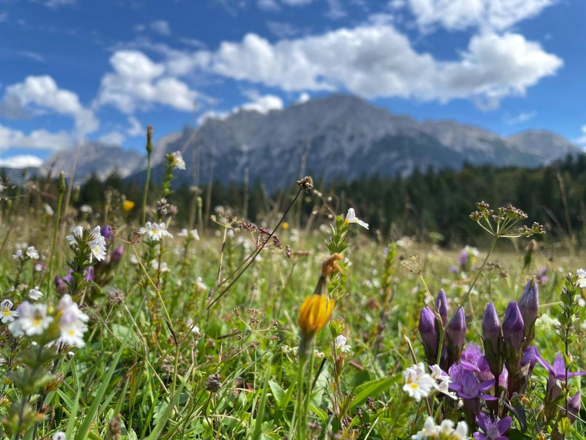 Suite Home Mittenwald Zewnętrze zdjęcie